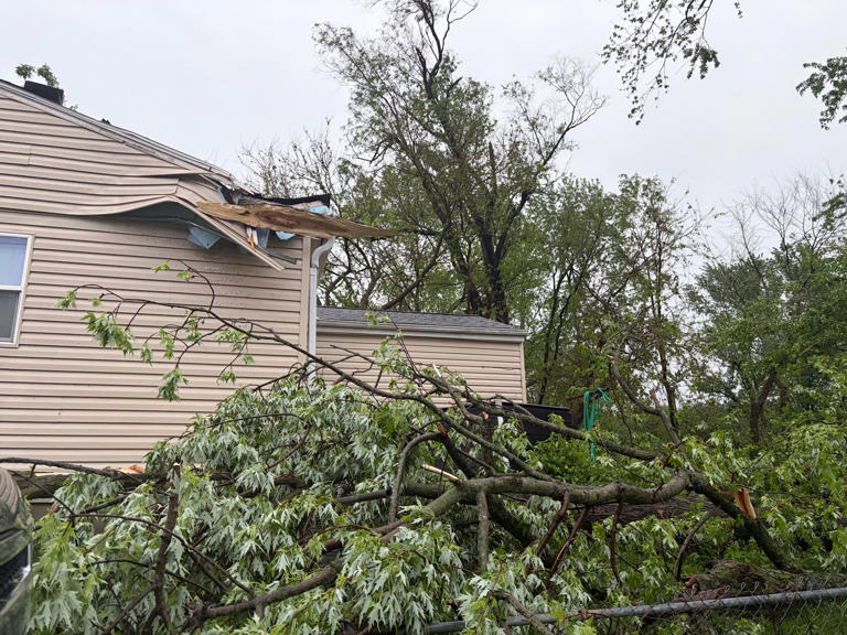 Photos: Belton tornado blows trees over on houses, leaves debris in ...