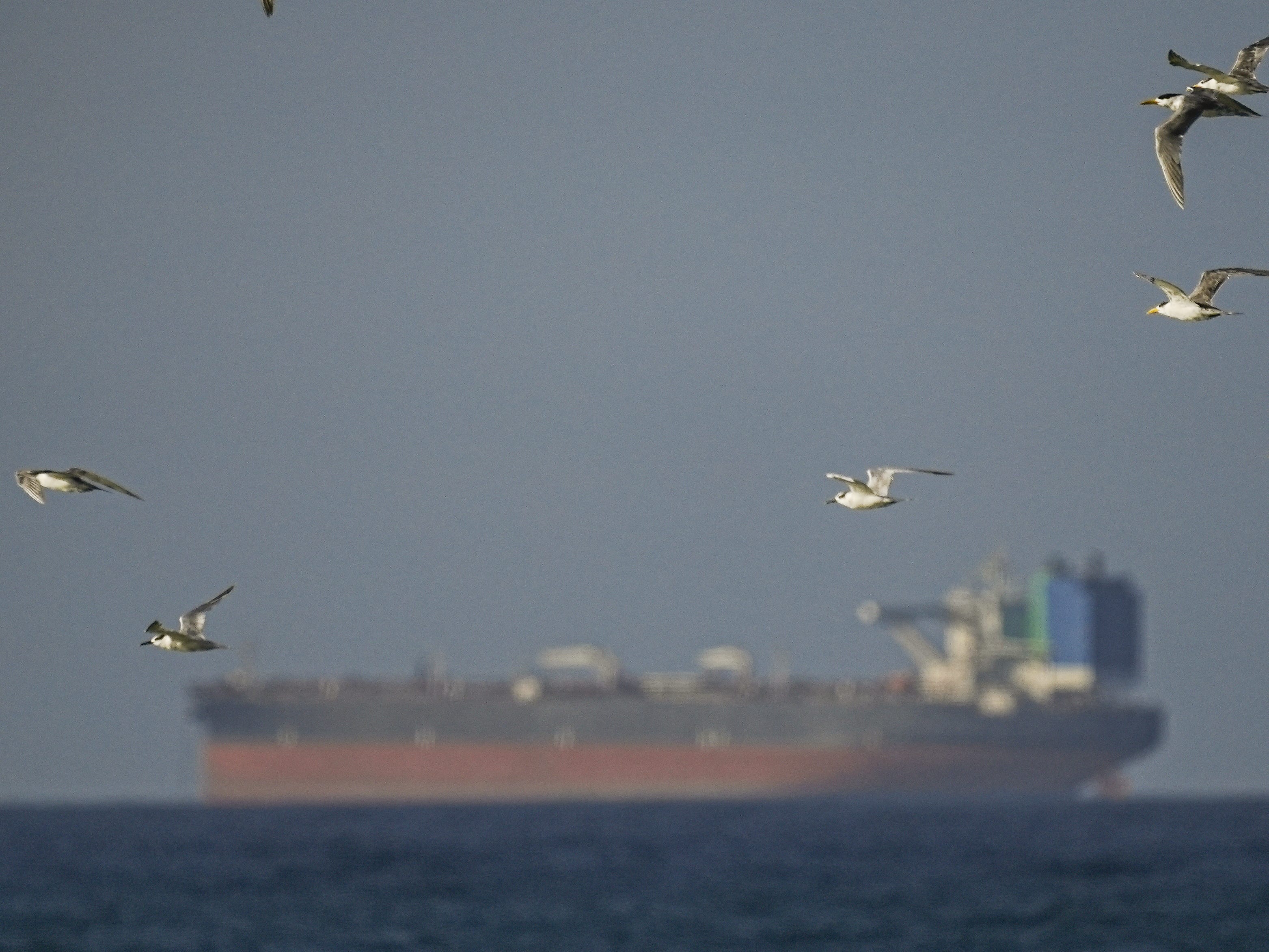 Completely open' didn't last very long in the Strait of Hormuz. Here's the  situation.
