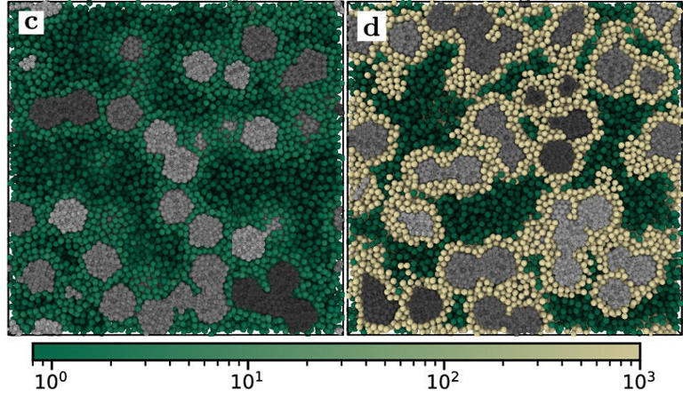 Researchers solve 100-year-old mystery behind rubber
