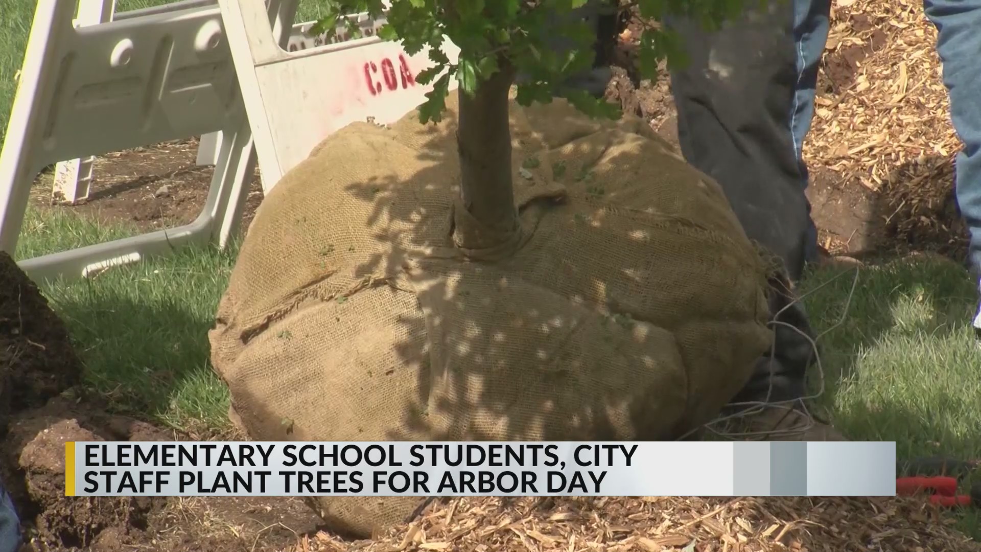 City of Albuquerque celebrates Arbor Day early with elementary school ...