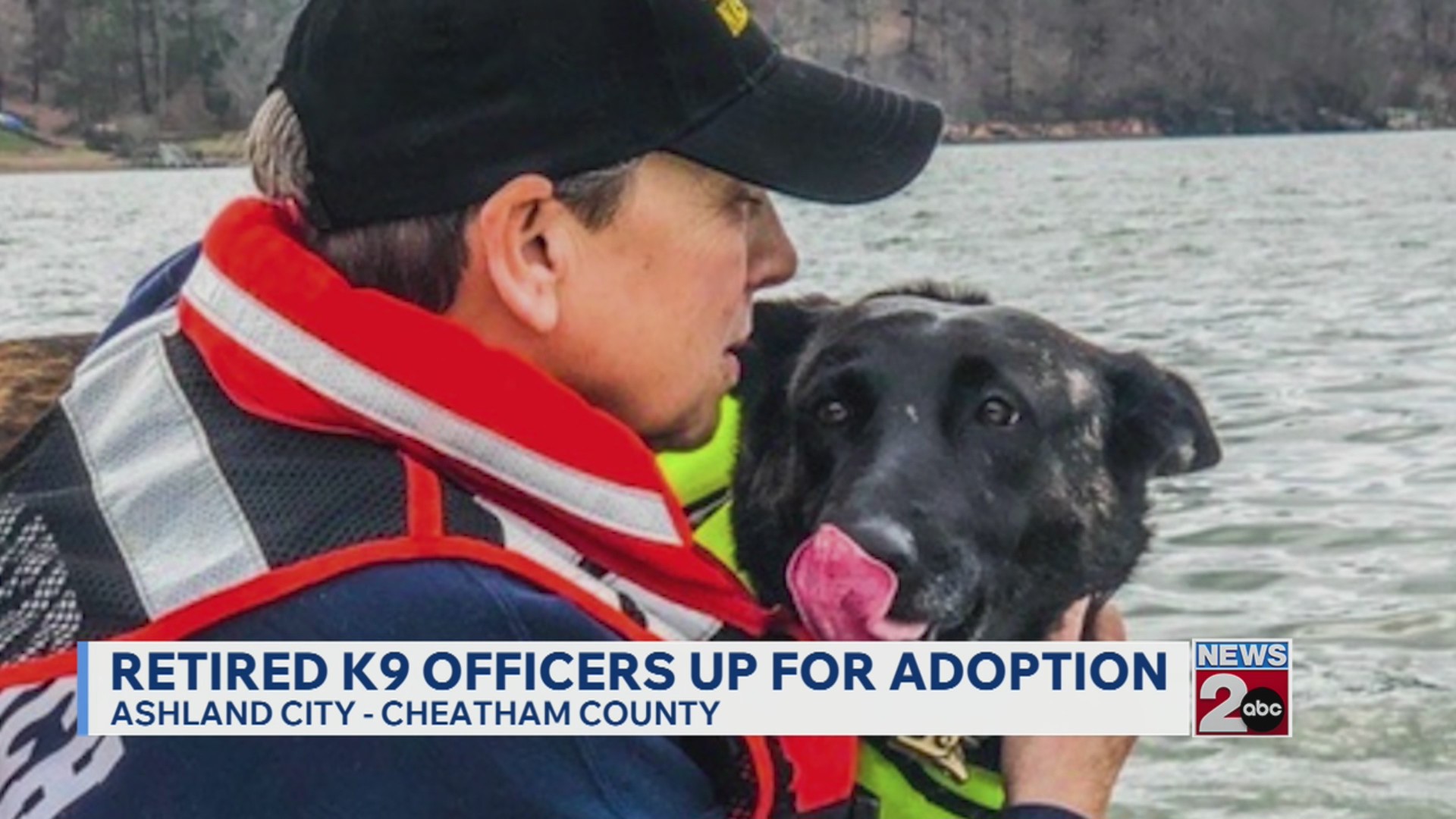 Retired K-9 officers up for adoption
