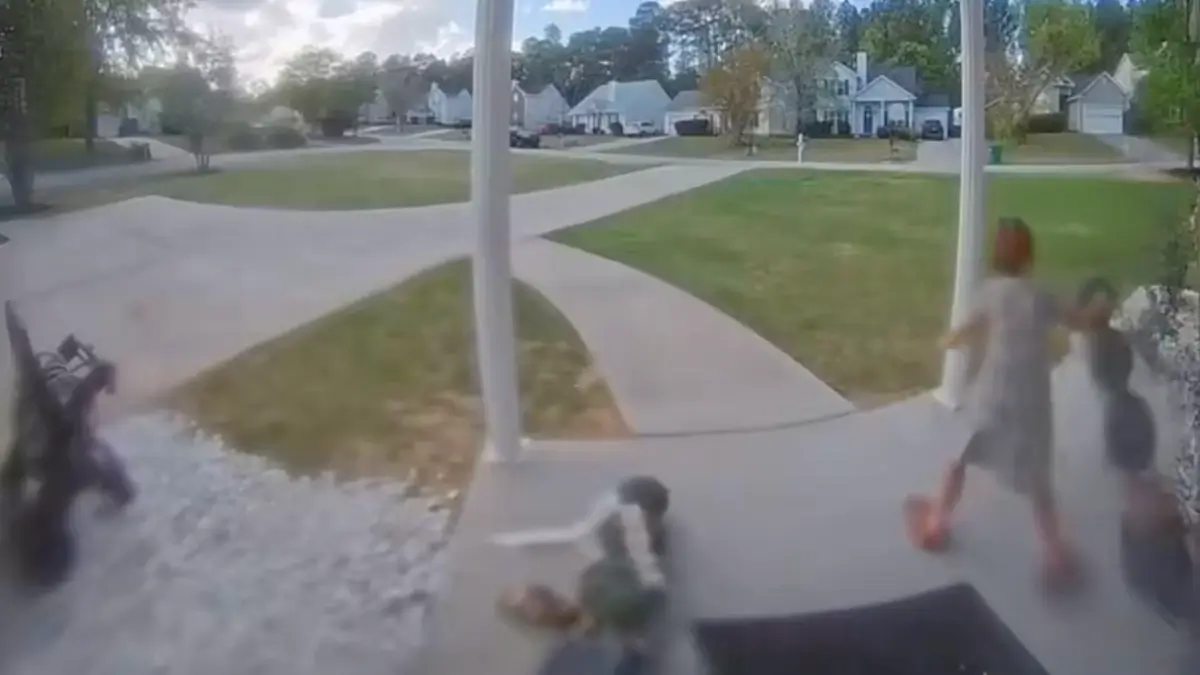 Little girl caught on video trashing neighbor's yard gets caught in the ...
