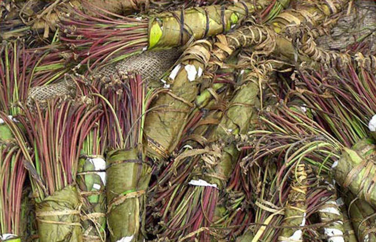Driver high on khat busted with 400+ grams on Route 17 in Sullivan ...