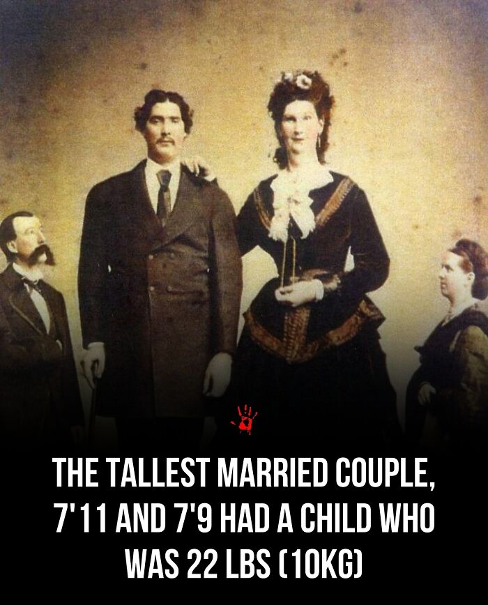 26 Pieces Of “Morbid Knowledge” For People Who Love Creepy Facts
