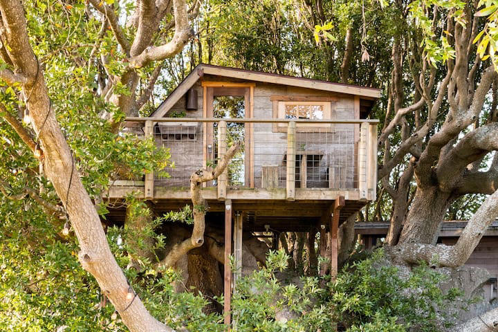 California treehouse Airbnbs for the ultimate forest retreat