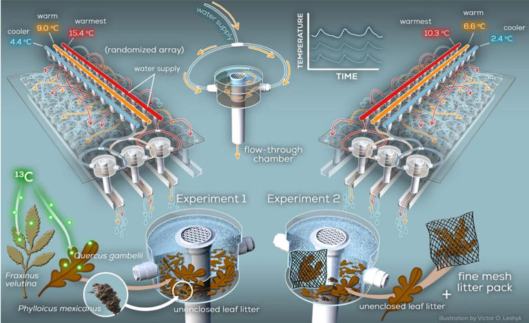 Warmer streams may be draining river food webs by sending more carbon ...