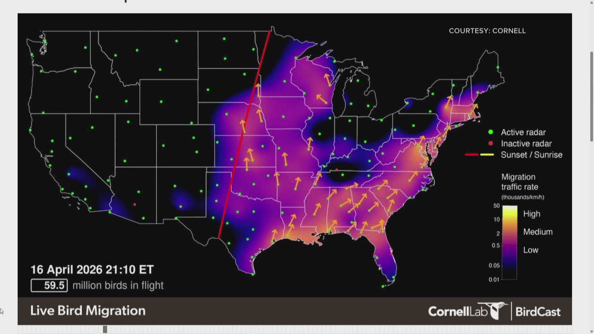 Cornell's BirdCast map shows bird migration activity