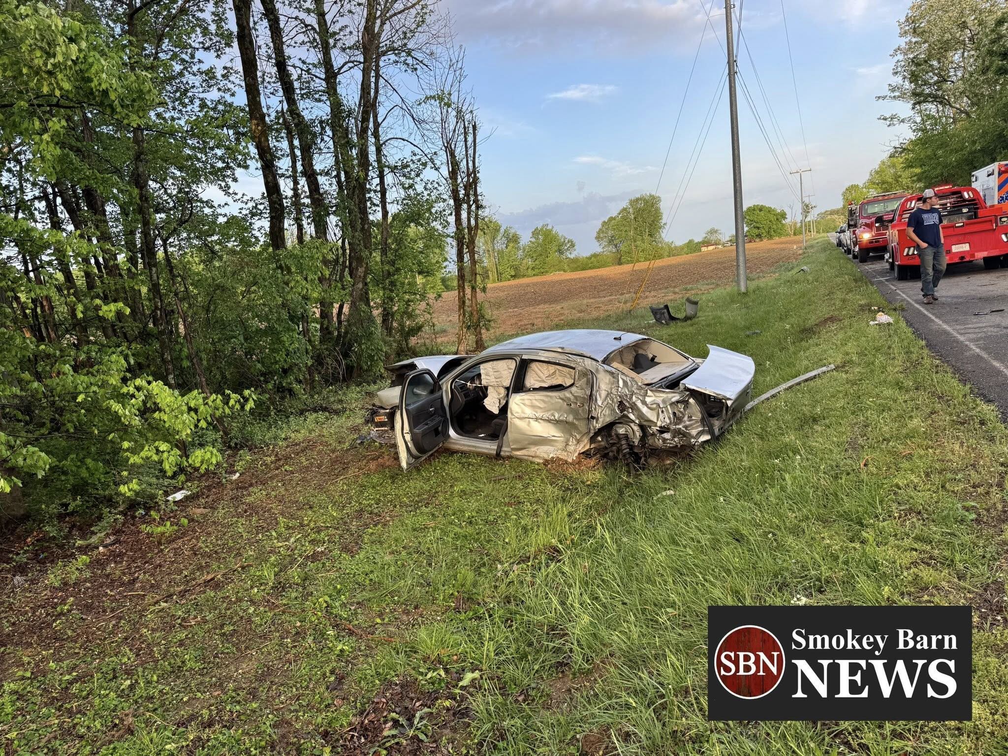 Car flies off road, strikes tree and lands in ditch in Robertson County