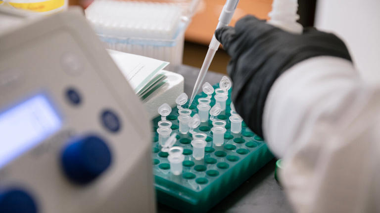 E coli editing technique expands into a universal toolkit for rewriting ...