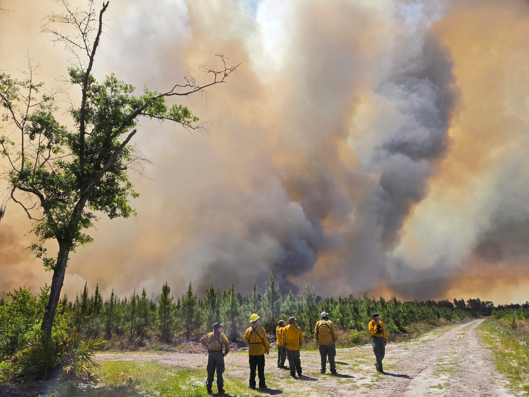 Alabama warned of wildfire smoke, fire risk as Georgia battles massive ...