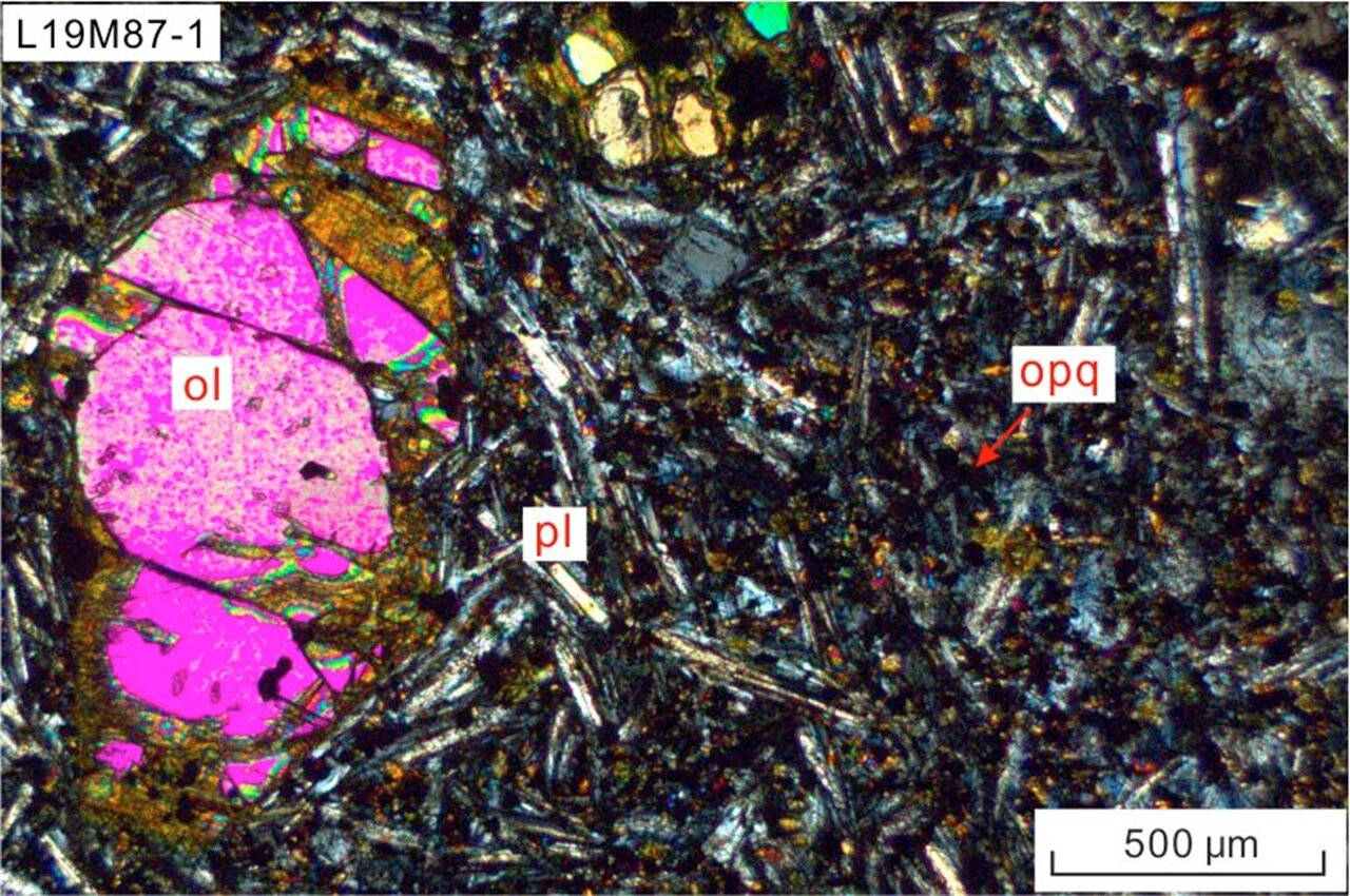 How a sinking lithospheric root raised Mongolia's Hangay Mountains
