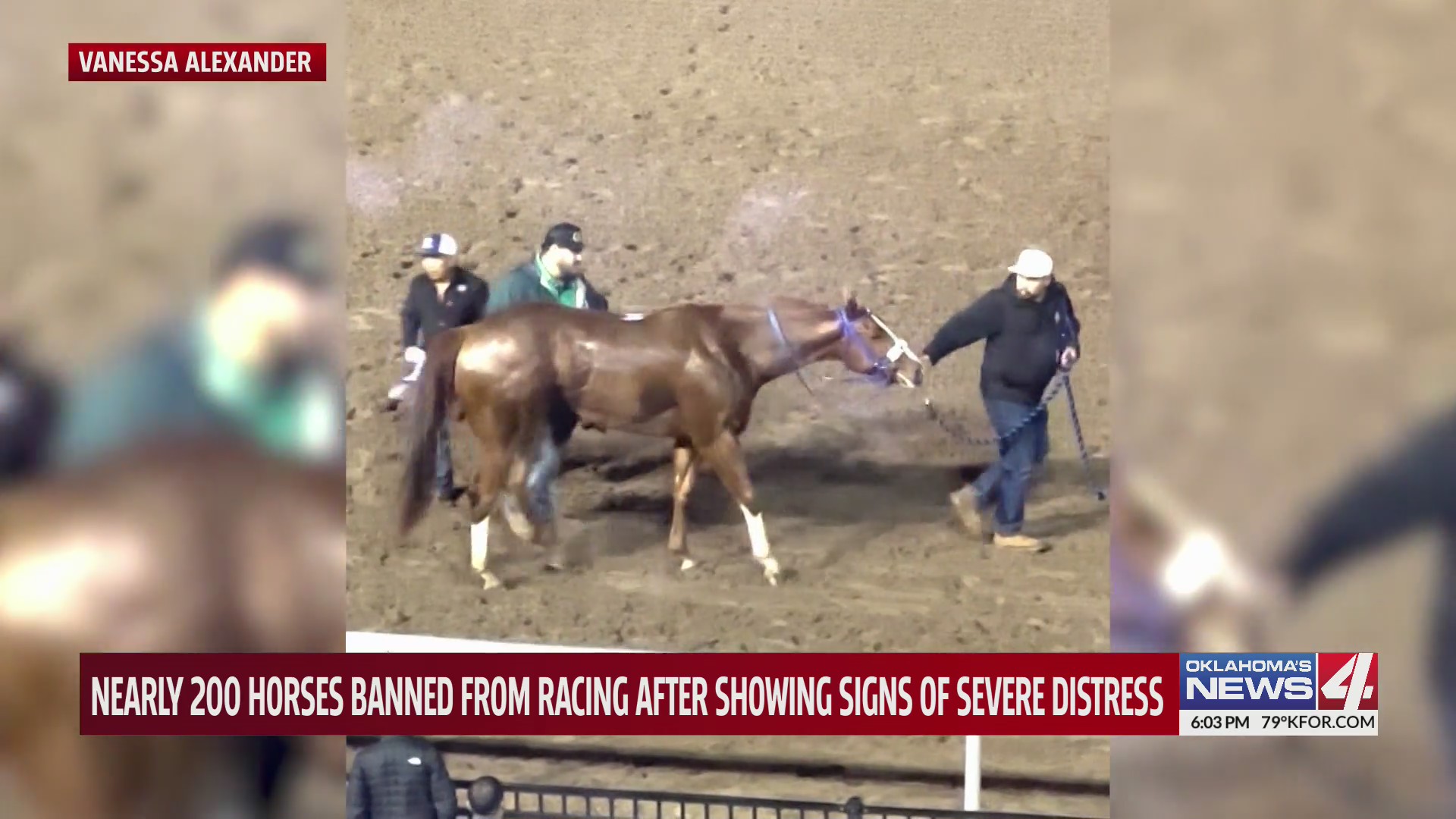 Nearly 200 horses banned from racing after showing signs of severe distress