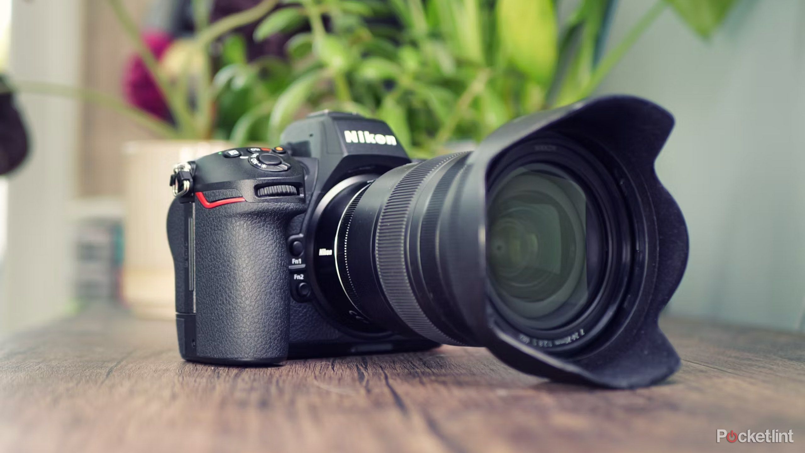 I still take pictures with a camera instead of a phone - and you should too