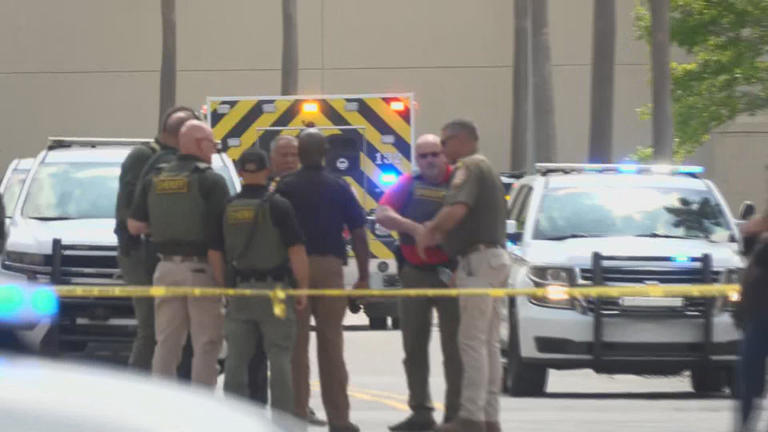 Teen killed, 5 wounded in Mall of Louisiana shooting