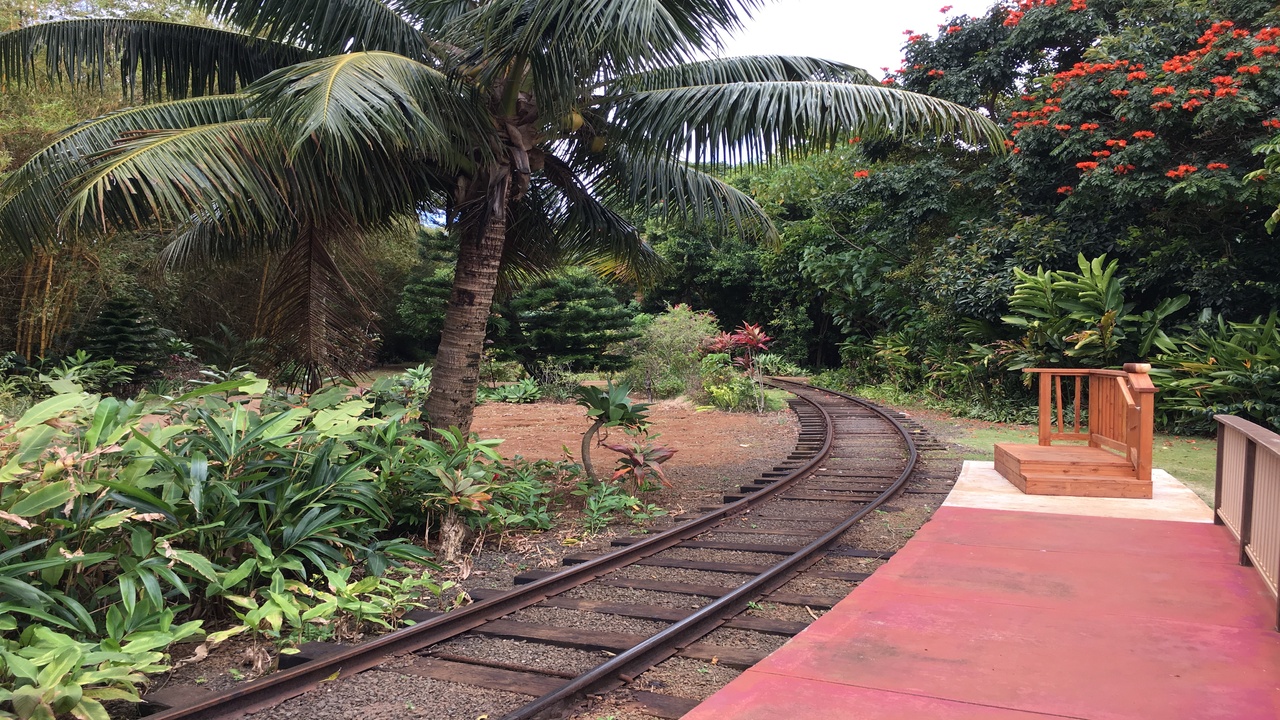 Hawaii’s only working plantation train runs through sugarcane jungle ...