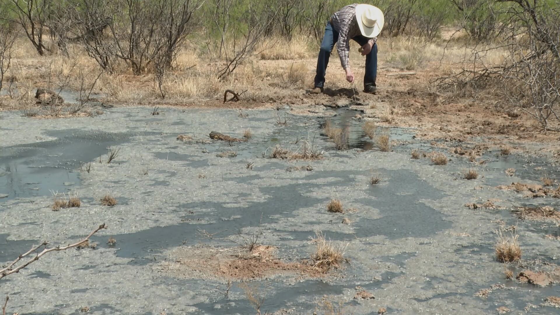 West Texas rancher raises alarm over abandoned well blowouts impacting ...
