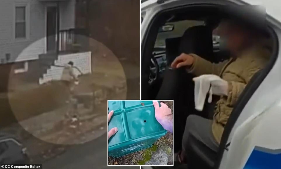 Massachusetts woman attacked by rabid fox