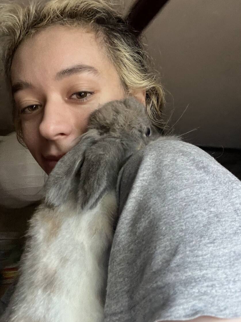 Rabbit who keeps losing her home hugs rescuer when she finally feels safe