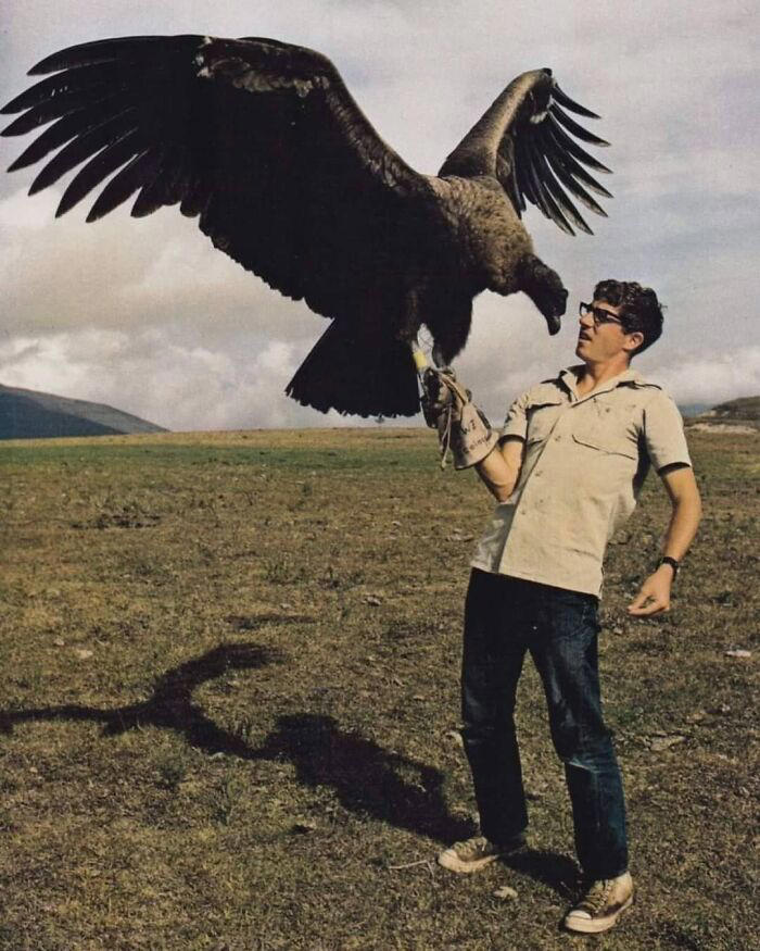 31 important historical photos that might change your perspective on things