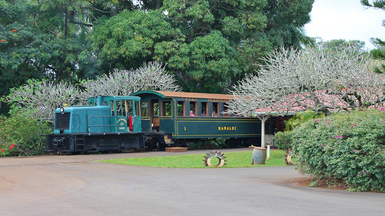 Hawaii’s only working plantation train runs through sugarcane jungle ...