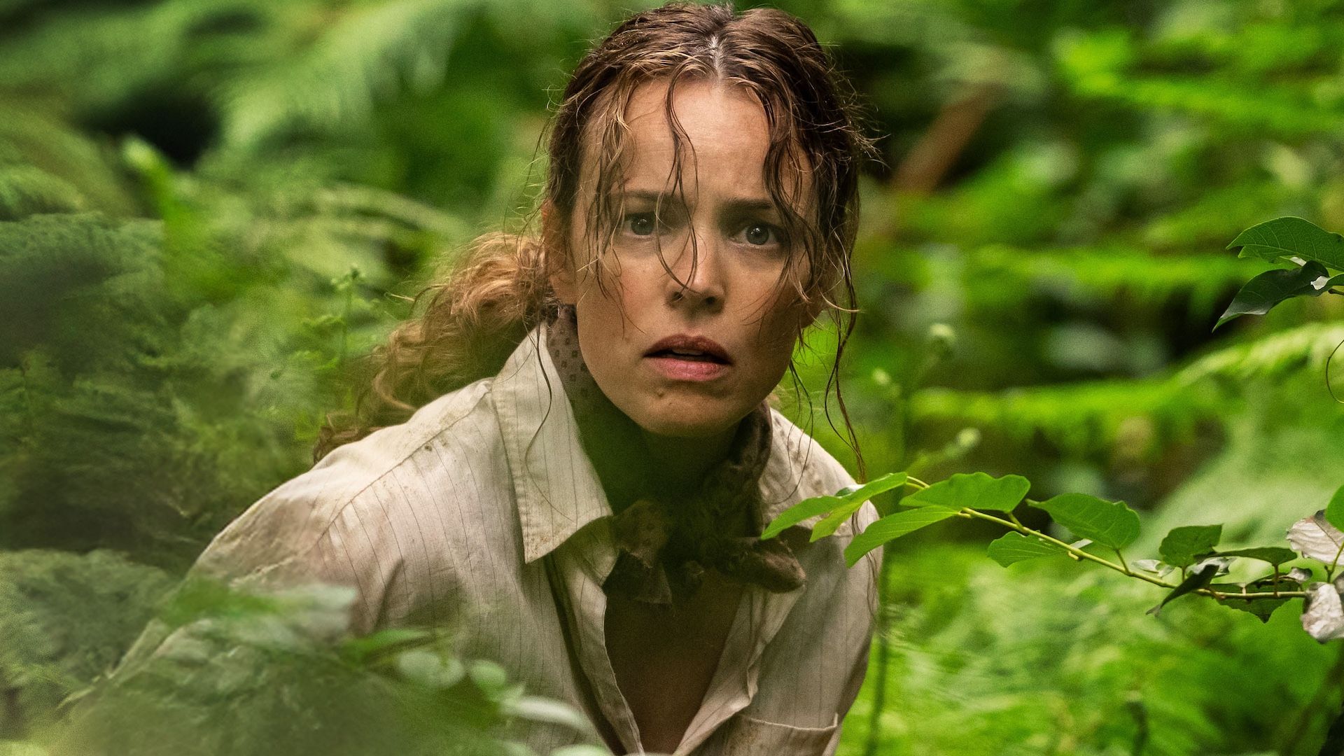 Sam Raimi's 'Send Help' sets streaming release date