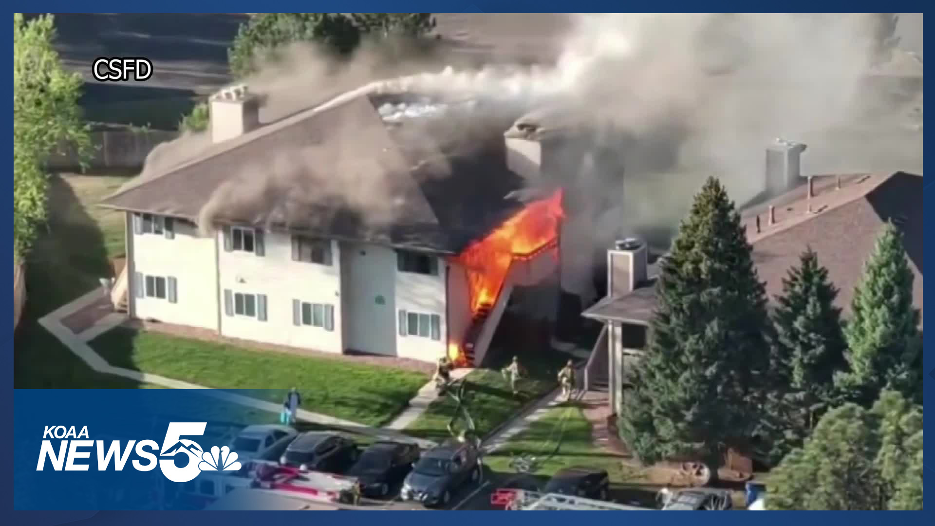 Cat dies and two are displaced following apartment fire in southeast ...