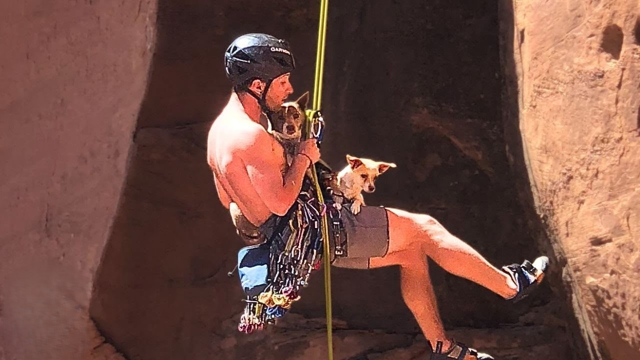 They heard crying in the mountains - until they found two dogs hanging ...