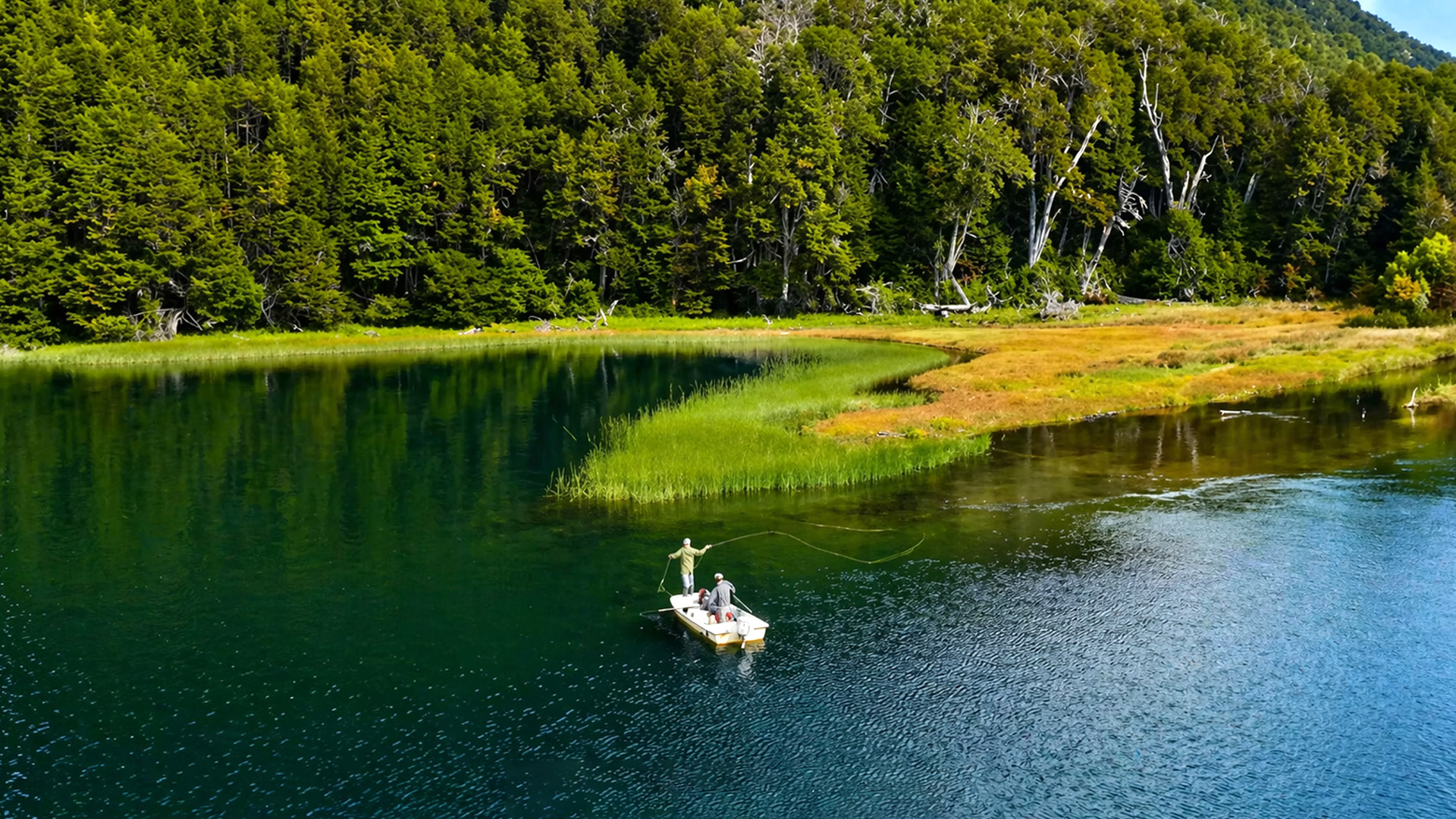 Un fiume che si snoda attraverso una fitta foresta