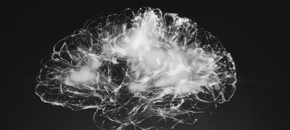 Lifting weights makes your brain look younger