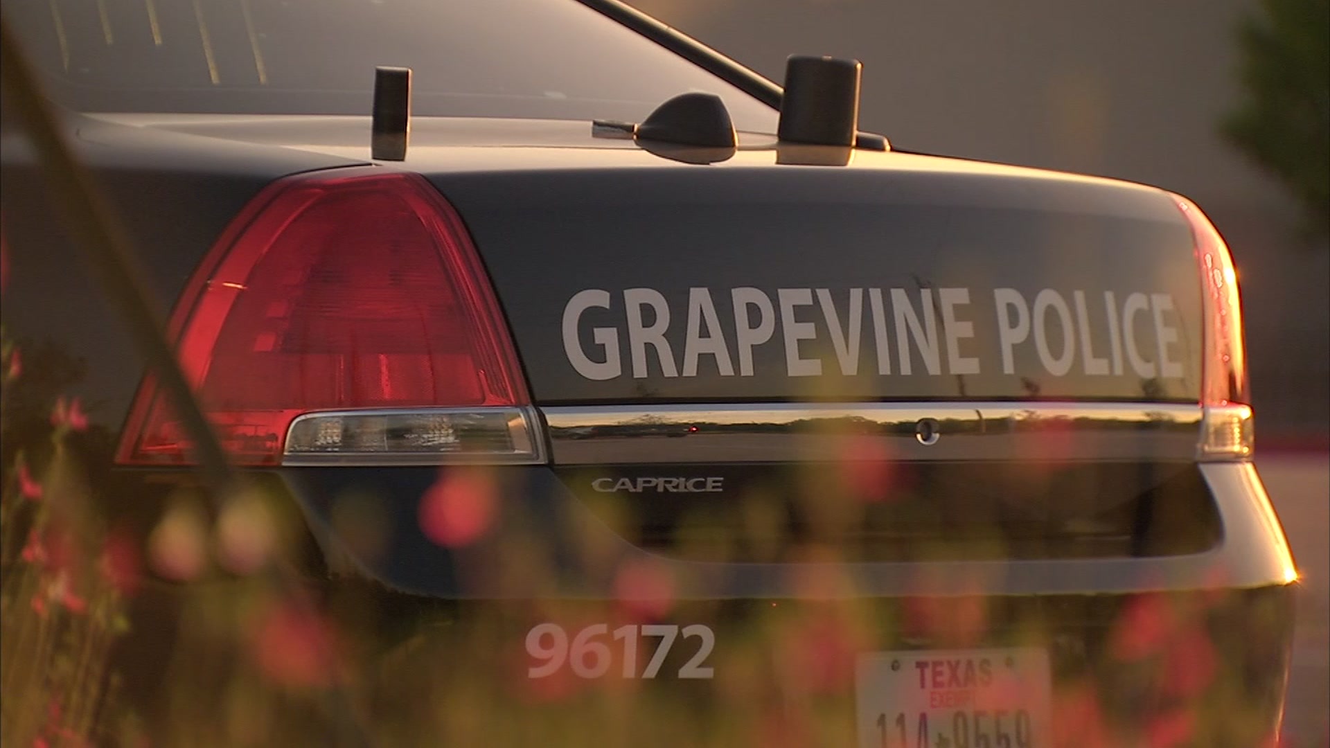 Arrest made in decades-old Grapevine cold case murder involving Braniff ...