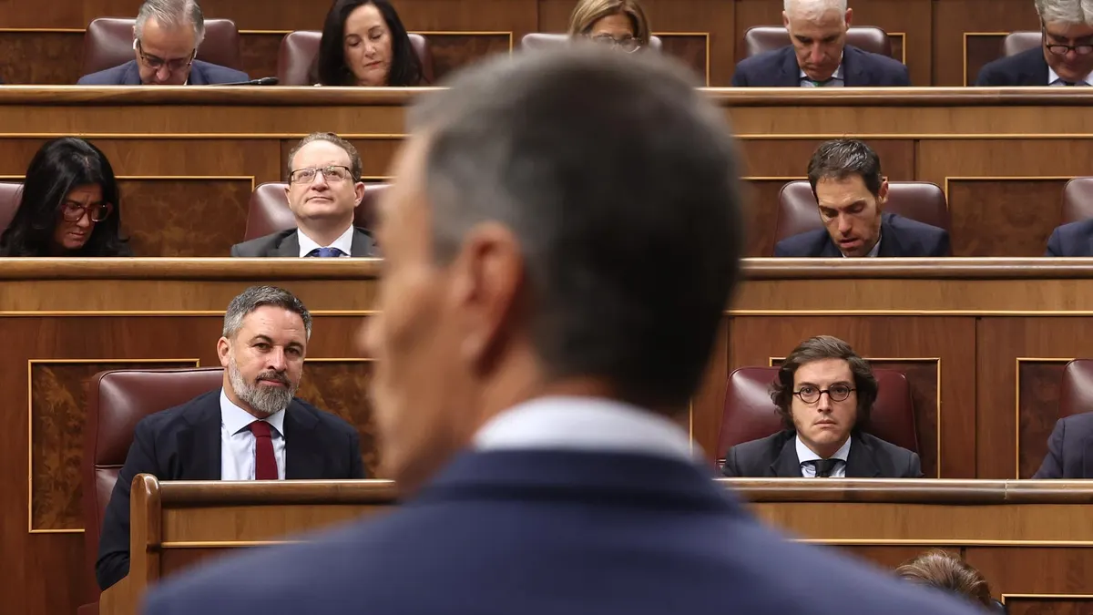 La "situationship" de Sánchez y Abascal (o por qué Feijóo es el único ...