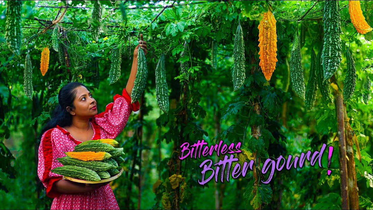 Making my brother eat bitter gourd without bitterness