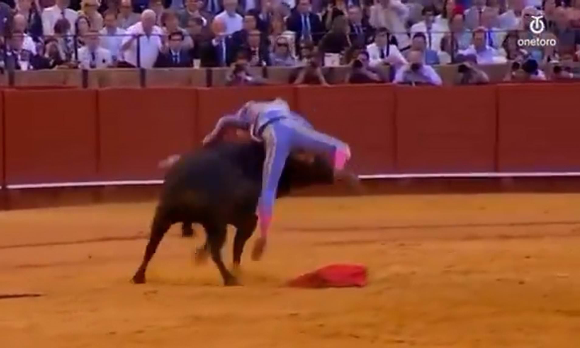 Second matador seriously injured in Seville bullring within days