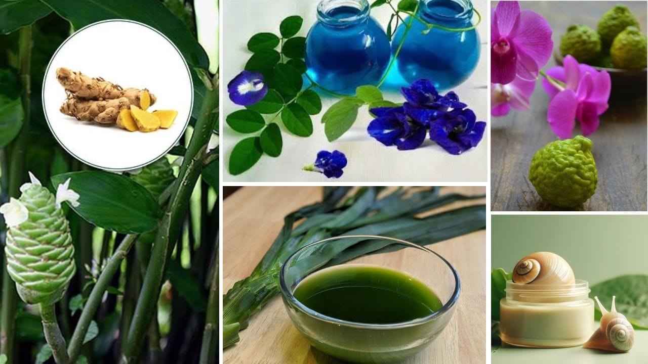 Thai beauty secrets: Natural ingredients and rituals for radiant, glass ...