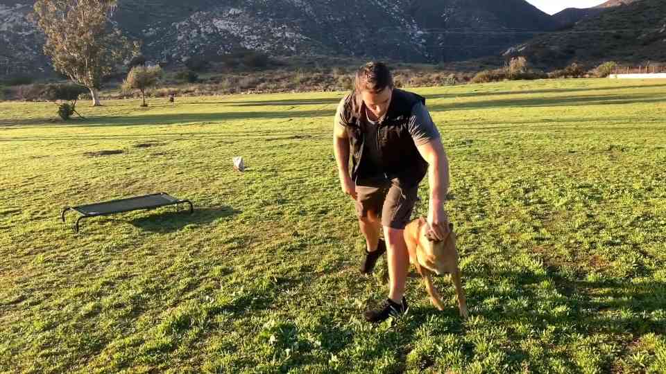 How 'just for fun' exercises fix common motivation problems