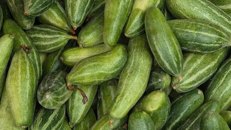 Regional Indian parwal recipes for summer with pointed gourd