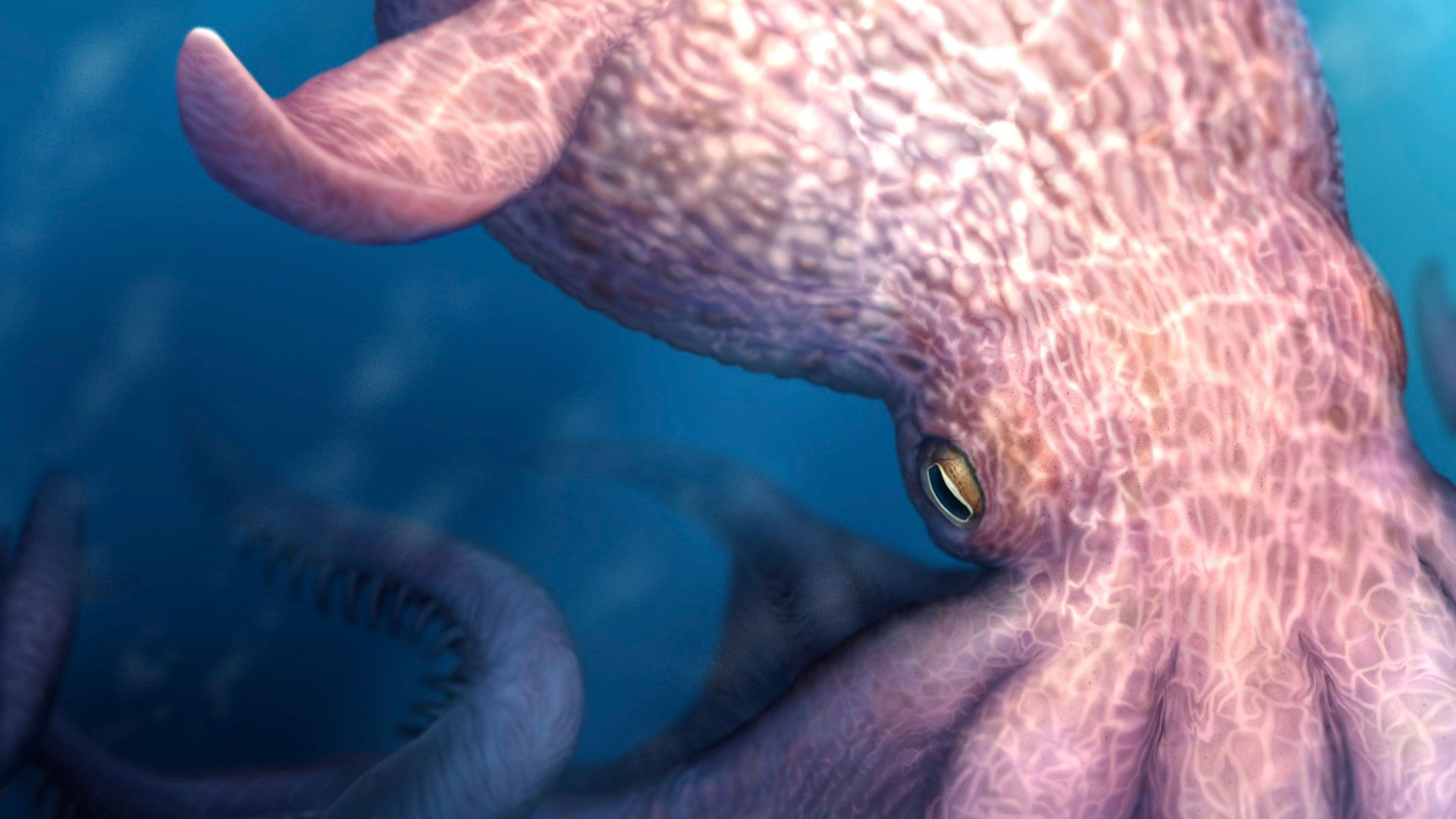 Riesen-Oktopus mit 19 Meter Länge: Überreste aus der Kreidezeit entdeckt