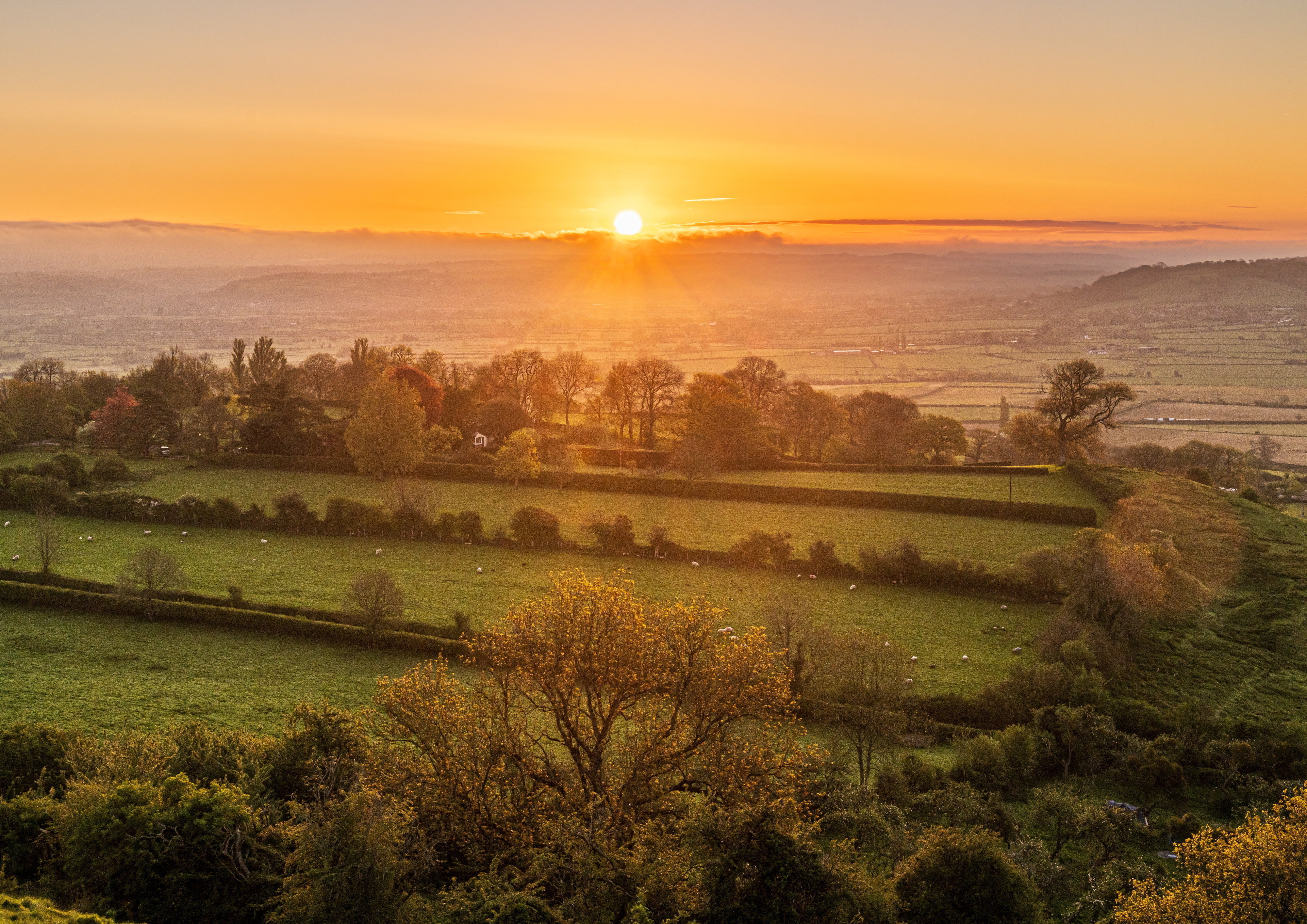 Top photos this week: Spring scenes to inspire you for the weekend