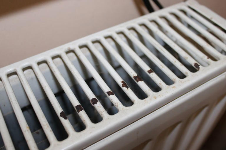 Bathroom radiators will be rust-free in minutes using 1 simple cleaning ...