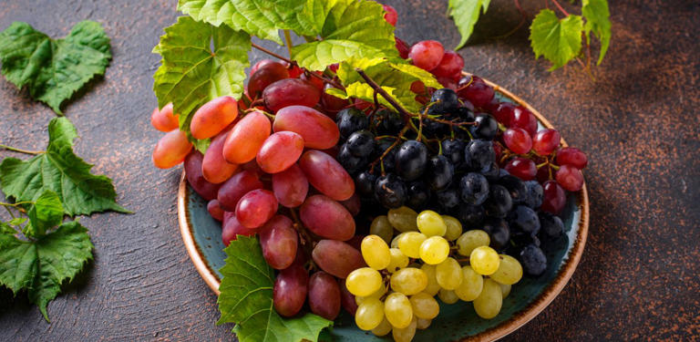 العنب بألوانه الرائعة