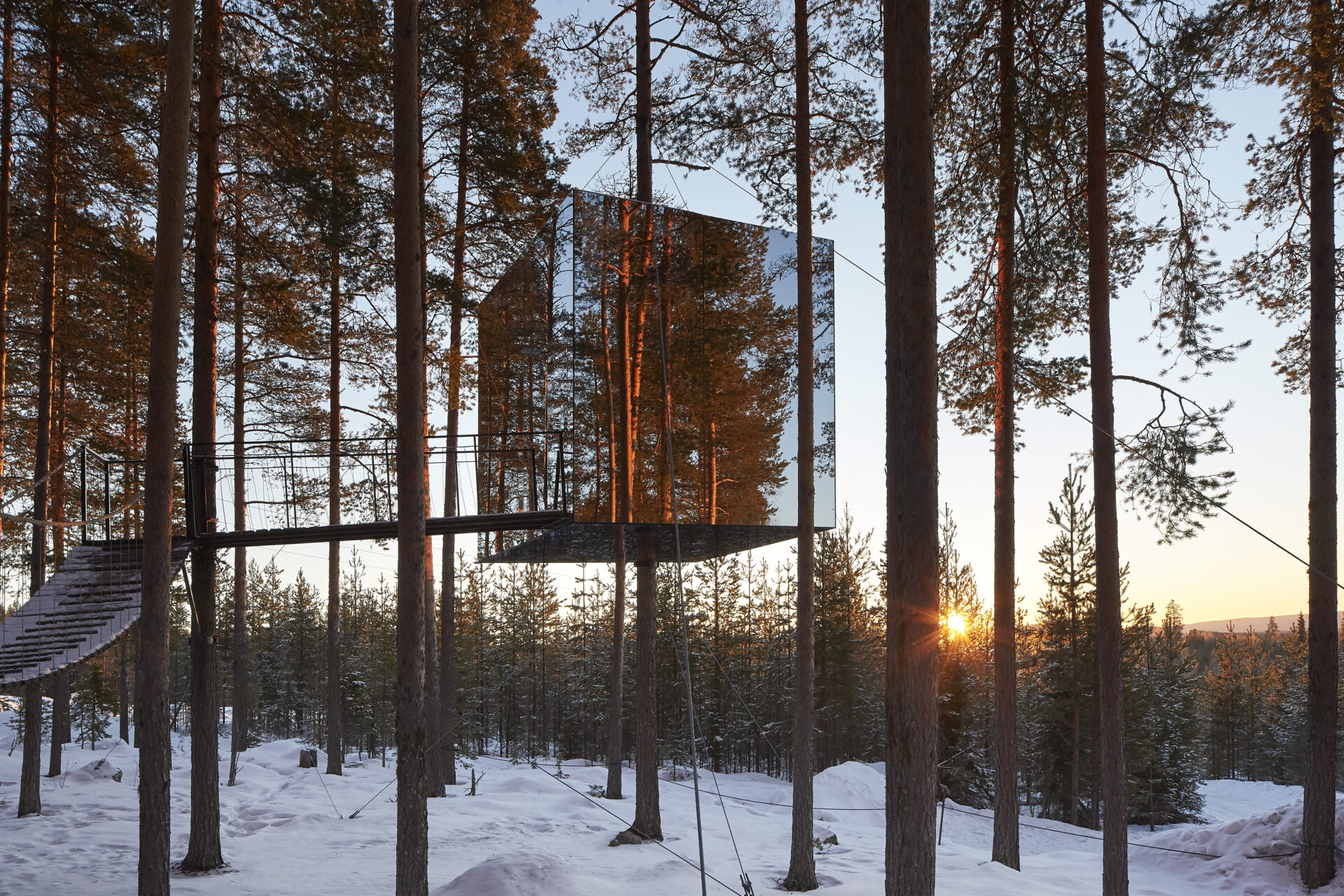 Treehotel: A luxury hotel in the sky