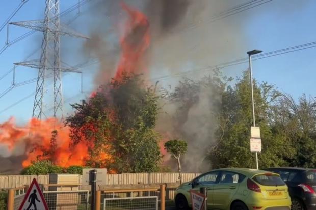 Large grass fire breaks out near McDonald's in South Wales