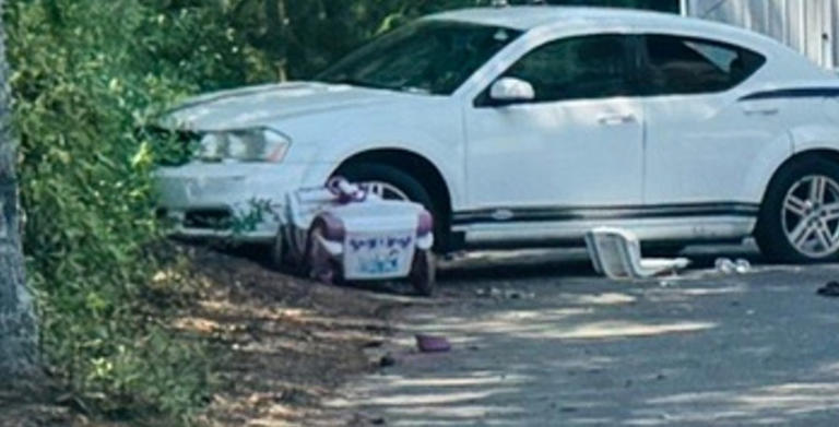 Toddler killed, child airlifted after being hit by car in North Carolina