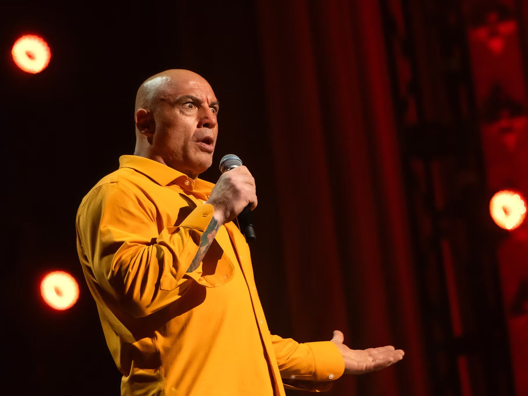Joe Rogan humiliates Trump after White House love-in