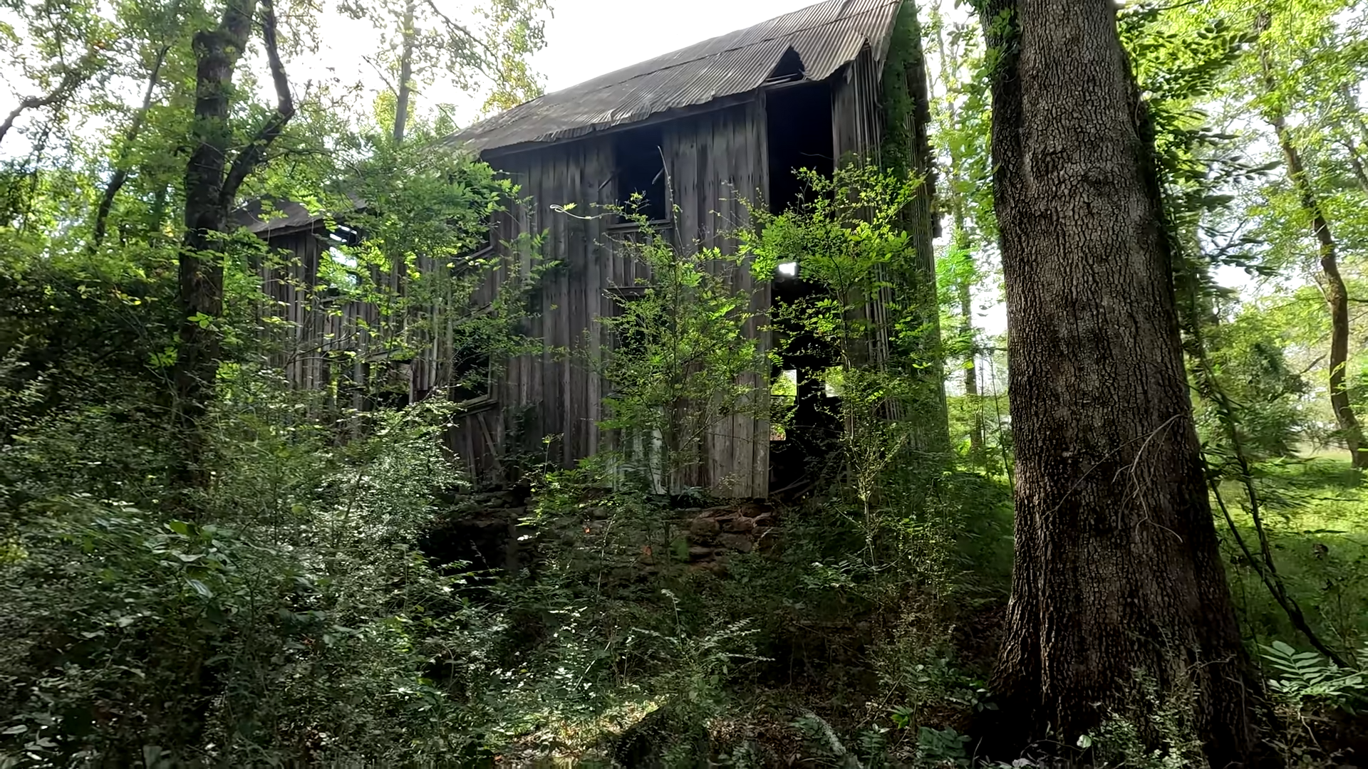 They walked into the woods — and found a ghost town still standing
