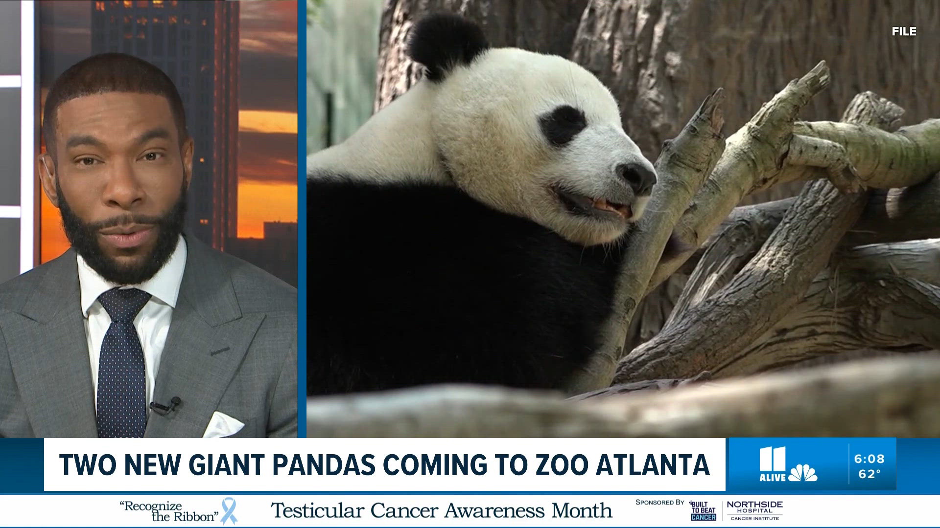 New giant pandas coming to Zoo Atlanta