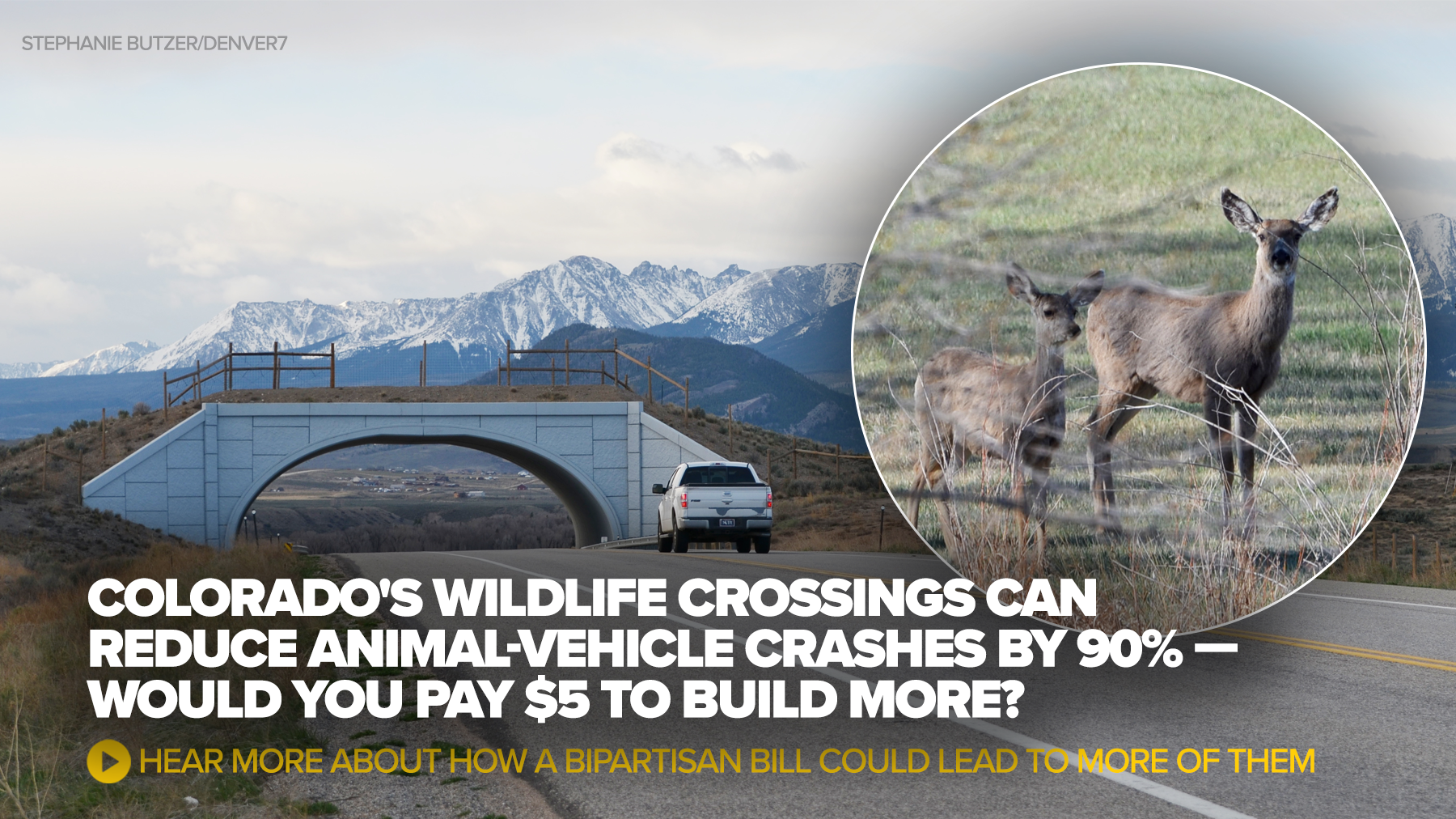 Colorado's wildlife crossings can reduce animal-vehicle crashes by 90 ...