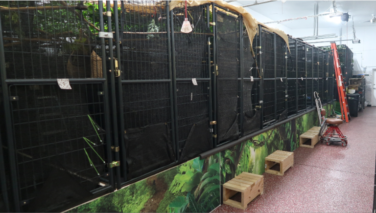31 sloths die in warehouse en route to Orlando exhibit, officials say