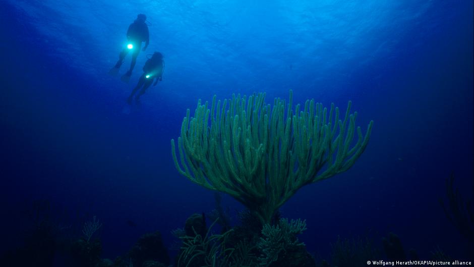 O enigma da cidade submersa de Cuba