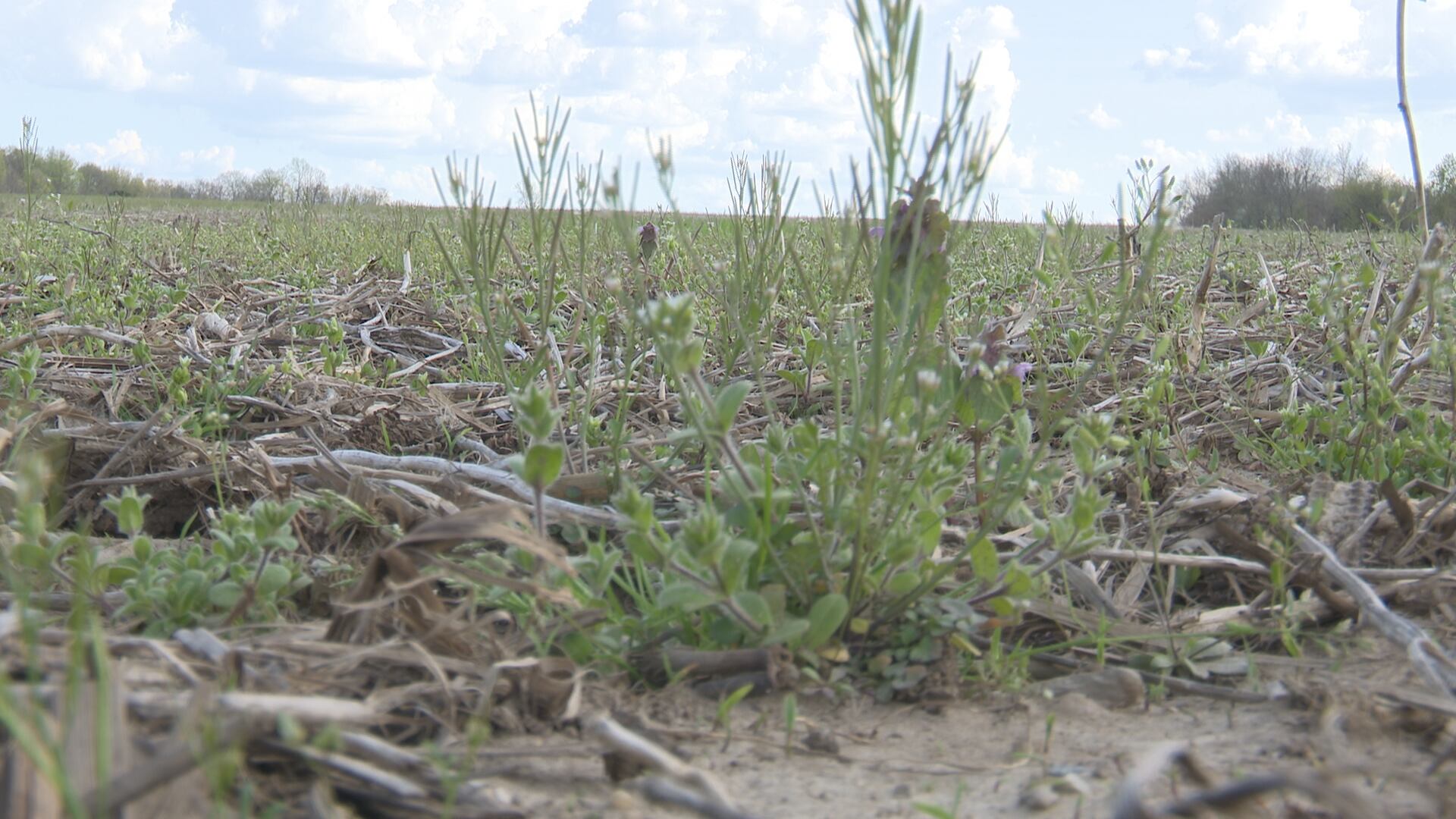 Rainy spring delays planting season for Michigan farmers